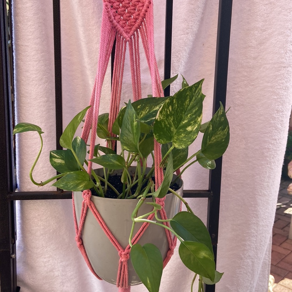 Macrame Plant Hanger Pink 40” - Picture 4 of 6